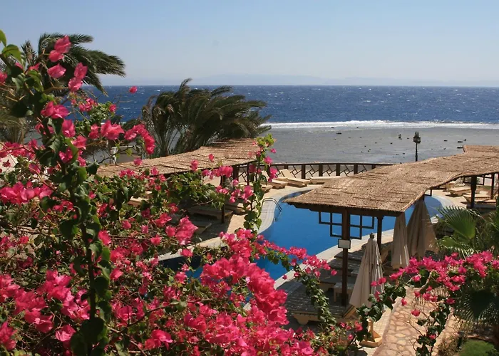Resort Nesima Dahab